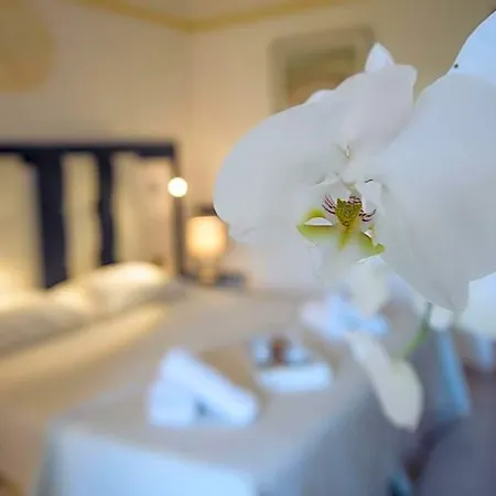 Otel Antica
